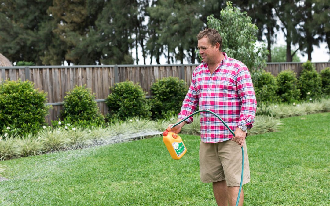 How to Care for New Lawns