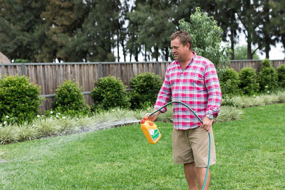How To Care For A Newly Laid Lawn So It Thrives