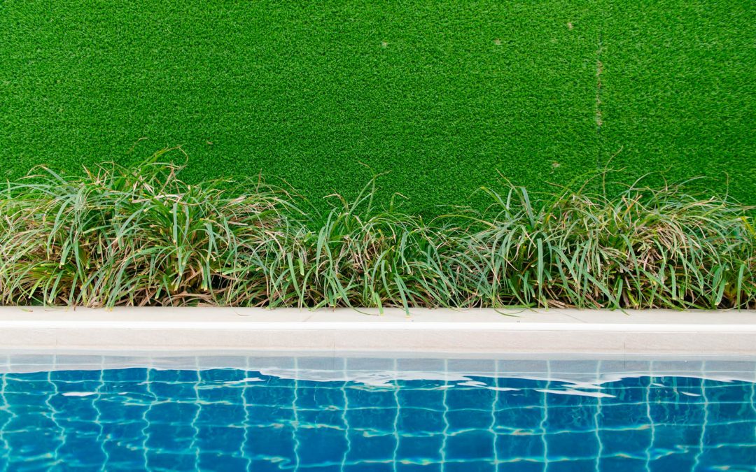 Will Pool Water Kill Your Lawn