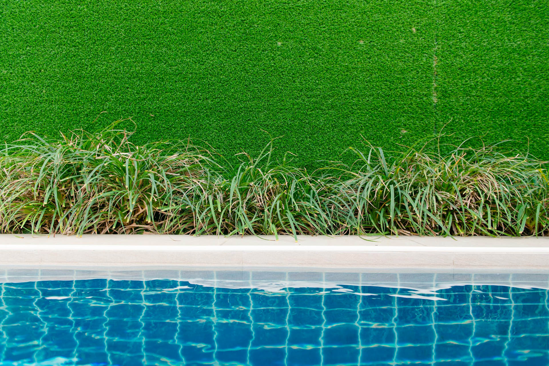 Will Pool Water Kill Your Lawn?