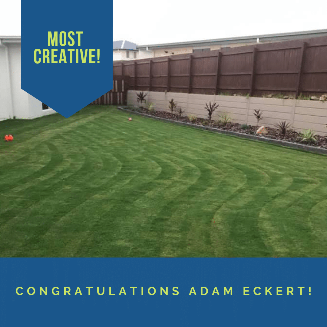 Checkered Lawn Pattern Mowing
