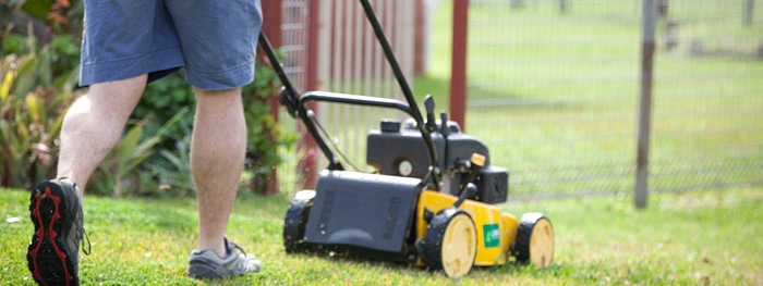 Are Grass Clippings Good for Your Lawn or Not?