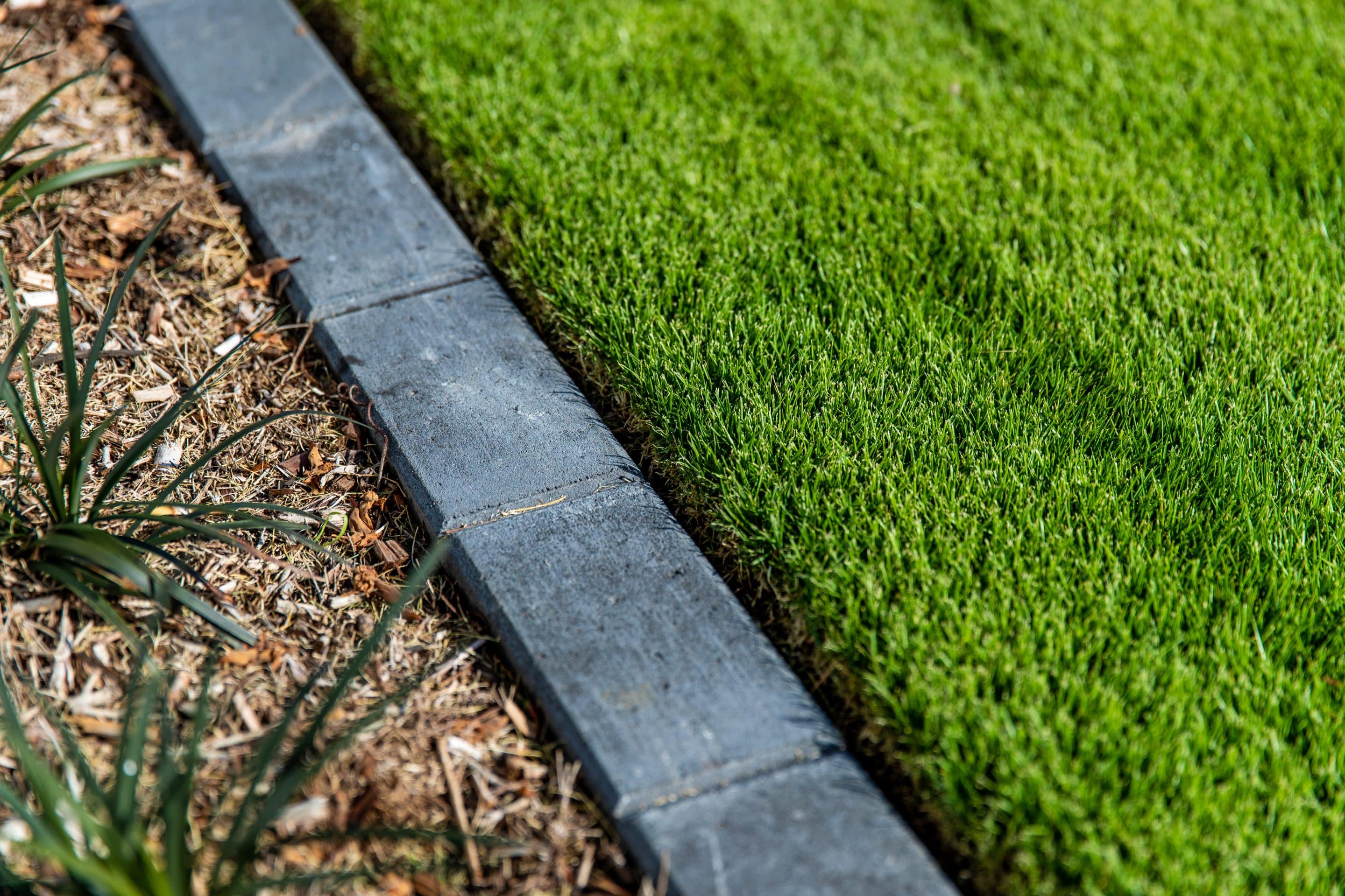 On Trend Lawn Edging Options Cobbitty Lawn Turf