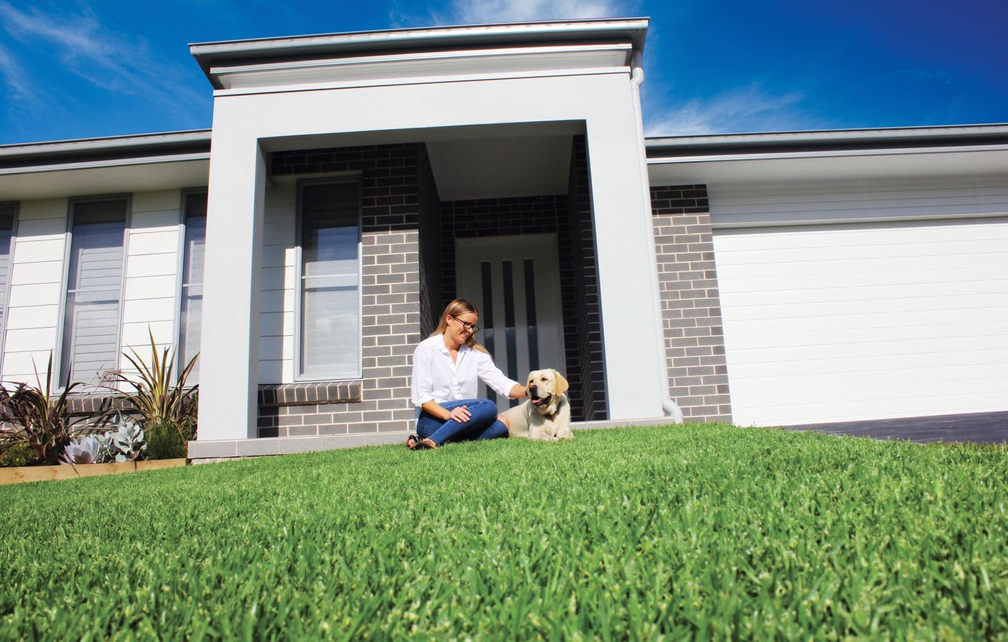 Dog on grass