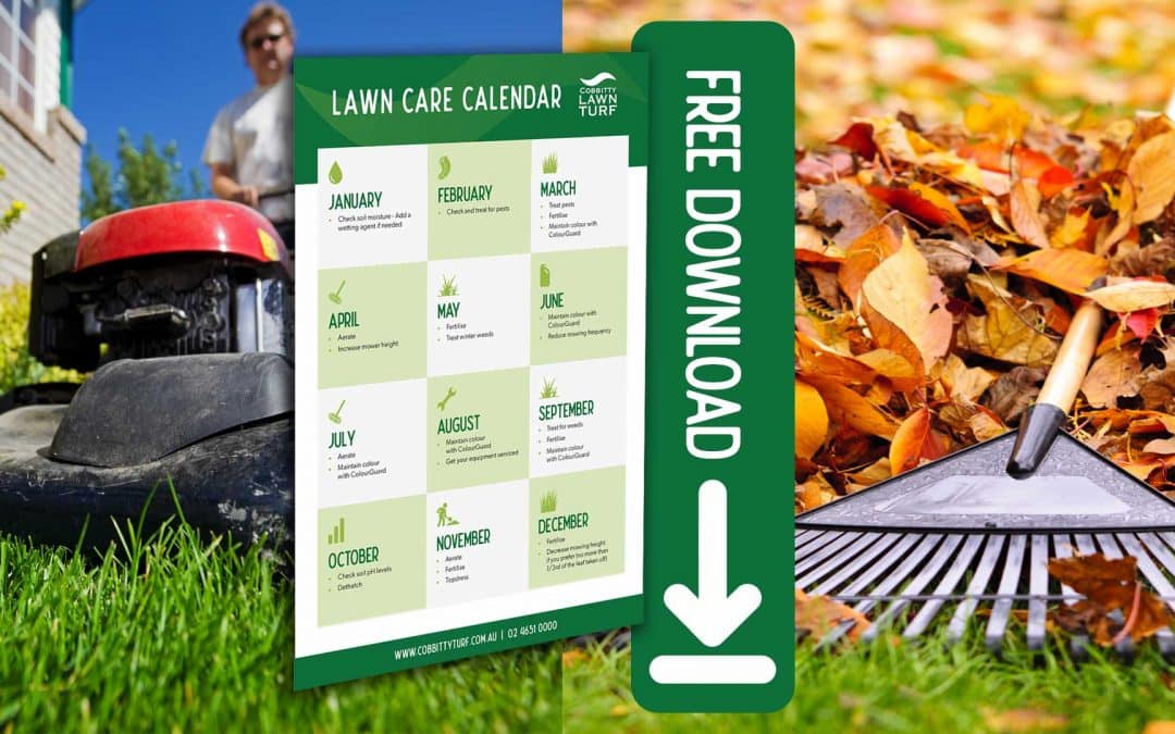 Lawn Care Calendar Download