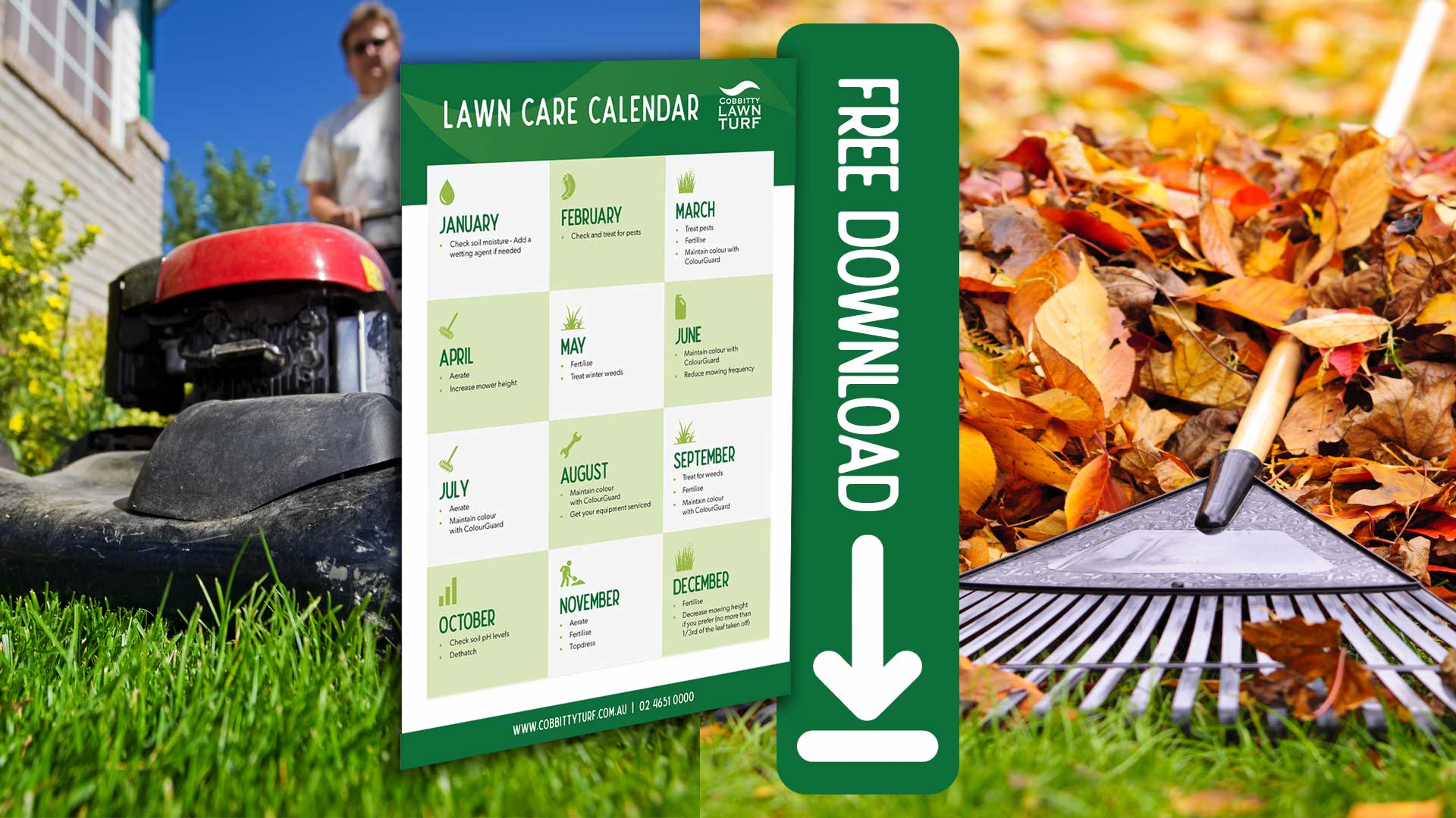 Lawn Care Calendar Download