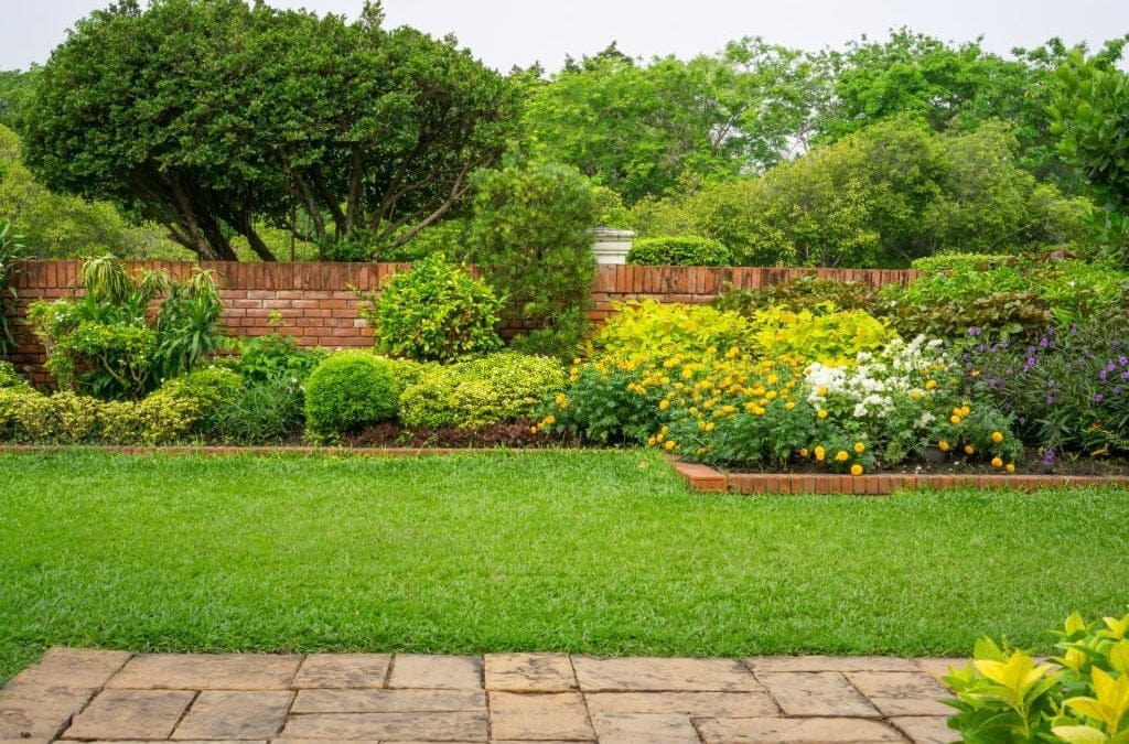 Why It’s Better for You to Use Turf in Your Home Garden